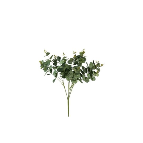 EUCALYPTUS BUSH FROSTED